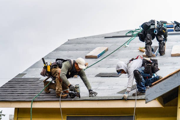 Professional Roof Installation technician working in Edwards, MO